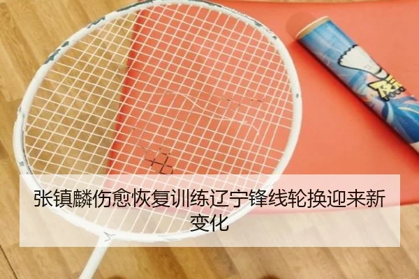张镇麟伤愈恢复训练辽宁锋线轮换迎来新变化